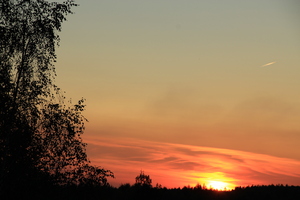 Image-preview_300x200