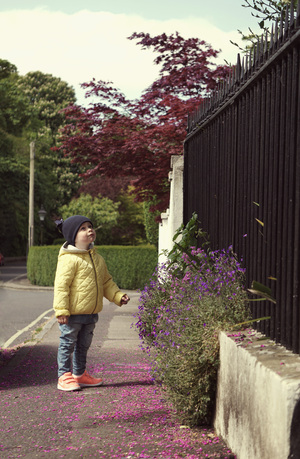 Image-preview_300x200