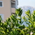 Image-square_50