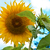 Image-square_50