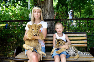 Image-preview_300x200