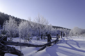 Image-preview_300x200