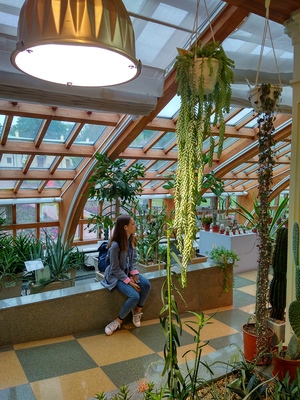 Image-preview_300x200