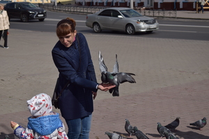 Image-preview_300x200