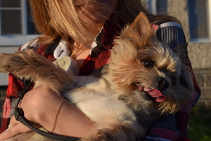 Image-preview_300x200