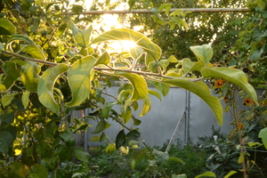 Image-preview_300x200