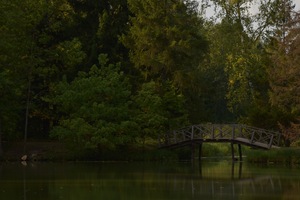 Image-preview_300x200