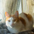 Image-square_50
