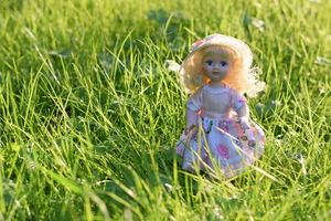 Image-preview_300x200