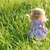 Image-square_50
