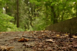 Image-preview_300x200