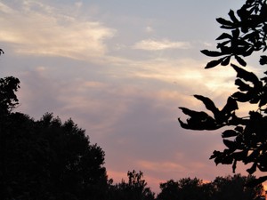 Image-preview_300x200