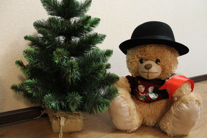 Image-preview_300x200