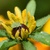 Image-square_50