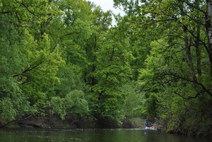 Image-preview_300x200