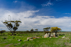 Image-preview_300x200