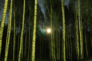 Image-preview_300x200