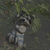 Image-square_50
