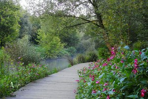 Image-preview_300x200