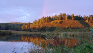 Image-preview_300x200