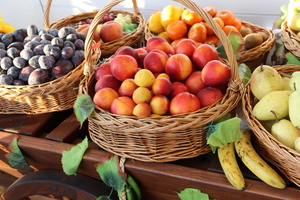 Image-preview_300x200