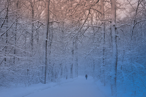 Image-preview_300x200