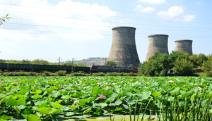 Image-preview_300x200