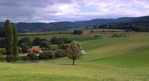 Image-preview_300x200