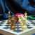 Image-square_50