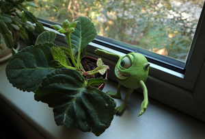 Image-preview_300x200