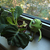 Image-square_50
