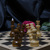 Image-square_50