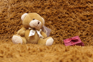 Image-preview_300x200