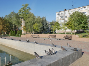 Image-preview_300x200