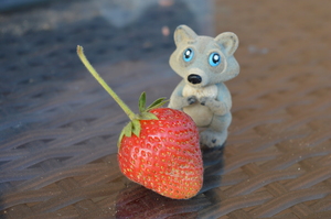 Image-preview_300x200