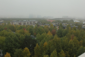 Image-preview_300x200