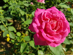 Image-preview_300x200