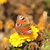 Image-square_50