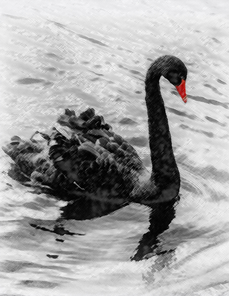 Image-normal