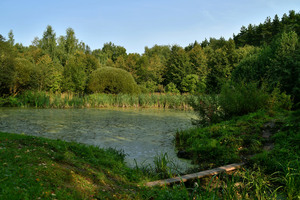 Image-preview_300x200