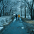 Image-square_50