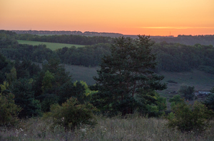 Image-preview_300x200