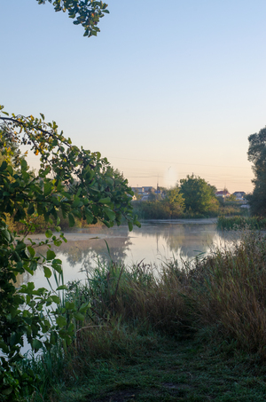 Image-preview_300x200