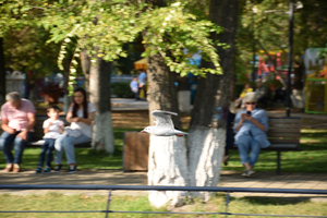 Image-preview_300x200