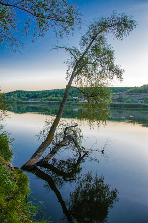 Image-preview_300x200