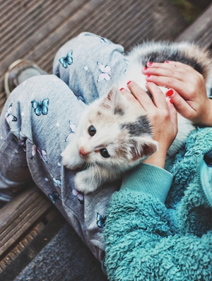 Image-preview_300x200