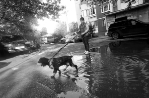 Image-preview_300x200