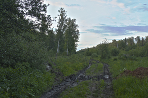 Image-preview_300x200