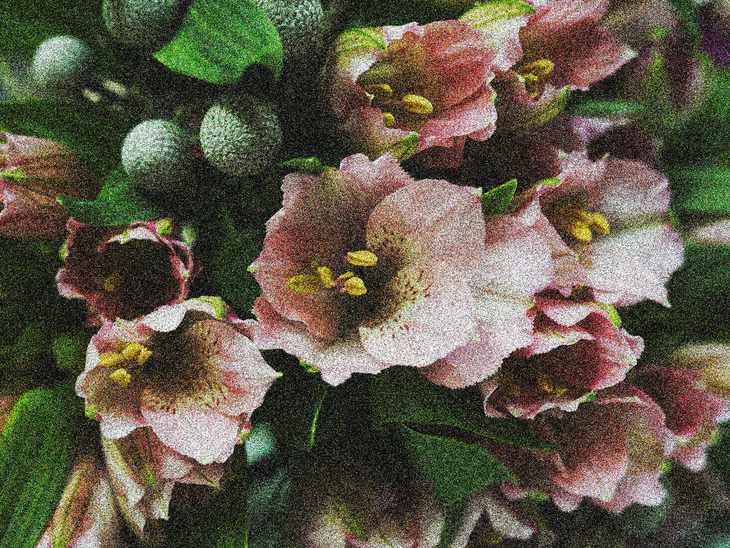Image-normal