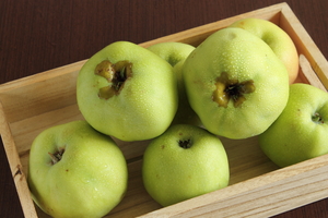 Image-preview_300x200